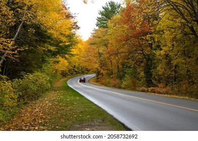 Red Car Driving on a Curvy Road with Fall Foliage Horizontal