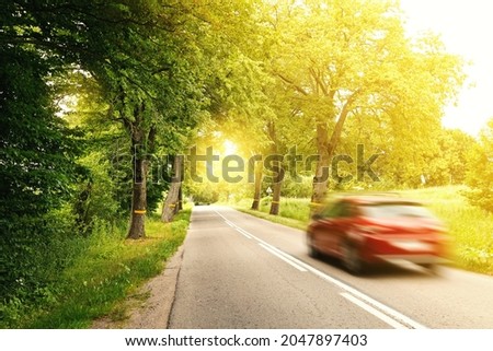 Red car in motion on asphalt road among arch of big trees in countryside.  Sunlight passing through green foliage