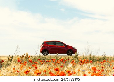 Red car on the poppy and wheat field foreground. Summertime travel. Travel in Ukraine. Scenery summer landscape with red car on background. Adventure in idyllic countryside. Poppy meadow and auto. 