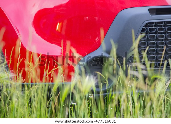 red car in the\
summer in high green grass