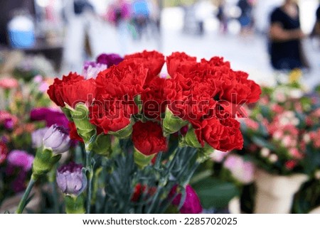 Red carnation flowers at the farmers' market, outdoors