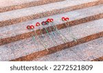 Red carnation flowers on granite steps near the eternal flame on the Tomb of the Unknown Soldier near the Kremlin wall in Moscow, Russia