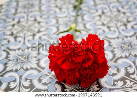 Red carnation on portuguese tiles. Portuguese Revolution and April 25 concept Foto stock © 