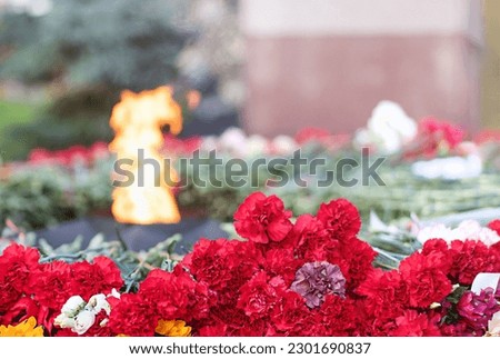 Red carnations by the eternal flame. High quality photo