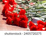 Red carnations placed at the eternal flame. Close-up.