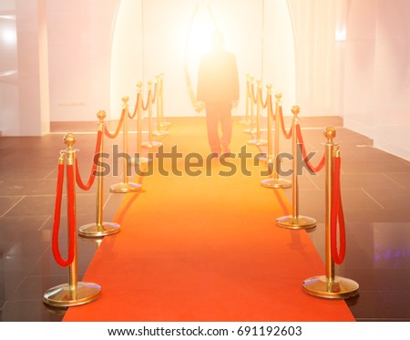 Red carpet between rope barriers in the success party. Selected focus at rope barriers.