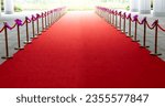 Red carpet entrance with the stanchions and ropes