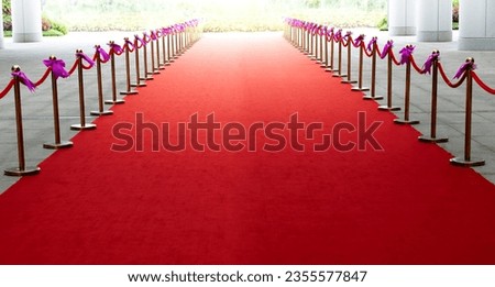 Red carpet entrance with the stanchions and ropes