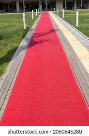 Red Carpet Leading To Office Buildings. Road For The Visually Impaired.