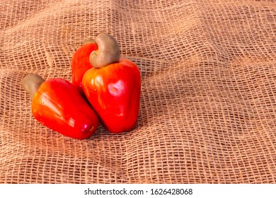 Red Cashew (Caju) (Anacardium Occidentale L). 