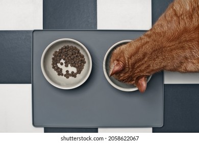 Red Cat Eating Wet Food Beside A Food Bowl With Dry Food, Seen Directly From Above.