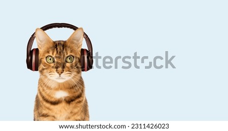 Red cat in headphones on the background, listening to music. Copy space.