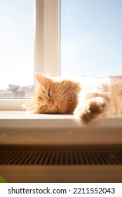 Red Cat Lying On Window Sill In Daylight Near The Heater