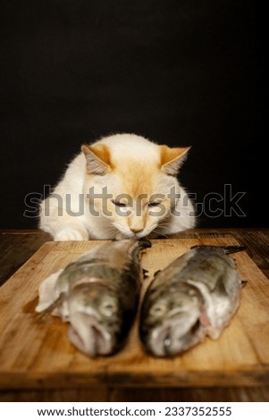 A red cat sniffs a fish lying on a cutting board on a wooden table
