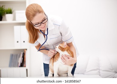 60,907 Veterinary clinic background Images, Stock Photos & Vectors ...