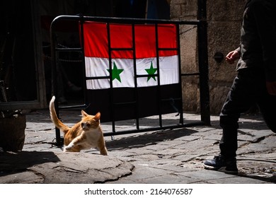 Cat with flag Stock Photos, Images & Photography | Shutterstock