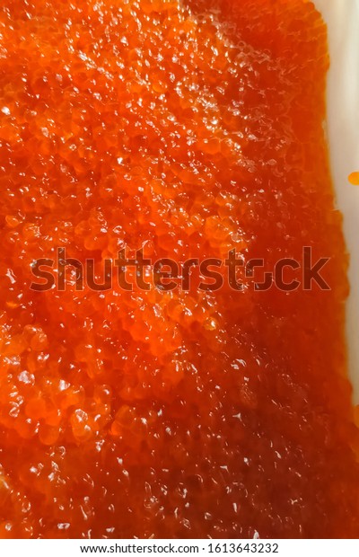 Download Red Caviar Plastic Container Salmon Caviar Stock Photo Edit Now 1613643232 Yellowimages Mockups