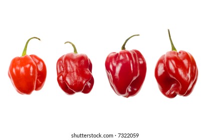 red cayenne peppers from Suriname isolated on a white background