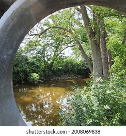 Red Cedar River Michigan Outdoor