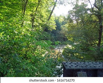 The Red Cedar River Near Irvington, Wisconsin