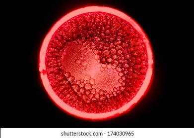 Red Cells Dividing Form A Heart Shaped Cell