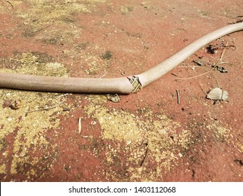 Red Cement Or Ground With Broken Garden Hose