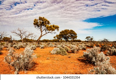 Australia Desert High Res Stock Images Shutterstock