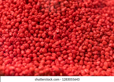 Treated Seed Corn Images Stock Photos Vectors Shutterstock