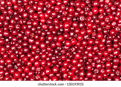 Red Cherry Background
