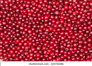 Red Cherry Background