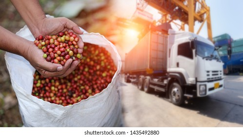 Red Cherry Coffee Bean Fruit And Food Distribution, Tropical Fruit Of Thailand .Truck Loaded With Containers Ready To Be Shipped To The Market.