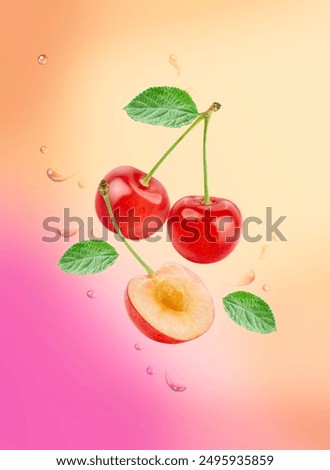 Red Cherry fruit falling in the air isolated on pink background, Fresh Red Cherry fruit with leaf on pink background, With clipping path.
