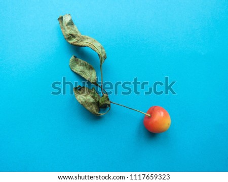 red cherry on a blue table