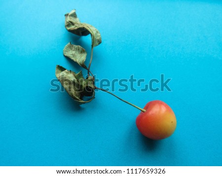 red cherry on a blue table