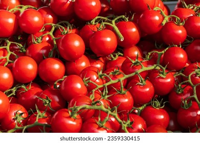 Red Cherry tomatoes in box for sale - Powered by Shutterstock