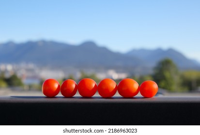 Red Cherry Tomatoes Harvested From Roof Garden With Mountain Scenery Background. Red Robin Cherry Tomatoes In A Line On Patio Railing With View Of North Shore Mountains, BC, Canada. Selective Focus.