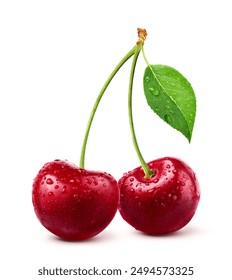 Red Cherry with water droplets isolated on white background. 