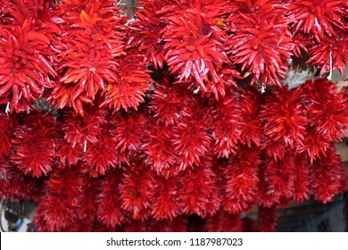 Red Chile De Arbol Ristras In Hatch,New Mexico.  These Are A Art Form To Tie And Beautiful In Color.