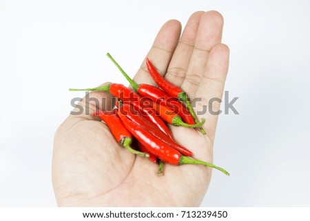 Red chili on hand in white background