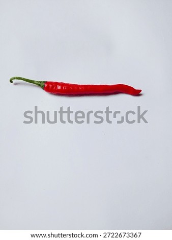 Red chilli isolated white background. 