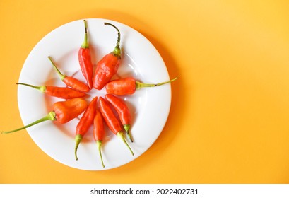 Red Chilli Pepper Placed On The Small White Plate Isolated On Yelow Background