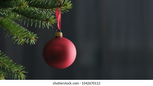 Red Chrismas Ball On A Spruce Branch Indoor