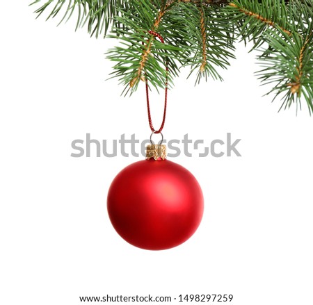 Red Christmas ball hanging on fir tree branch against white background