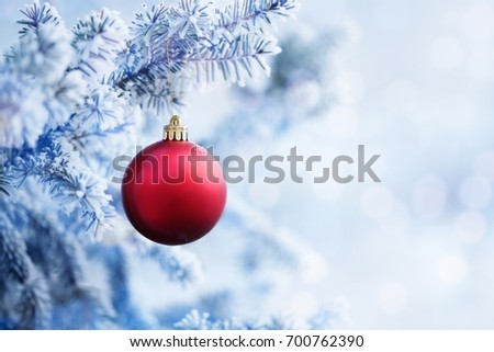 Red Christmas Ball Hanging on a Tree Branch in the Snow Winter Forest