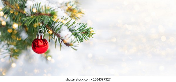 Red Christmas ball hangs on a snow-covered branch of a Christmas tree against a festive background of white snow and golden bokeh lights with copy space. New Year, greeting and holiday card, banner.