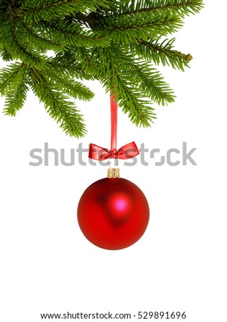 Red Christmas decor ball on green tree branch isolated on white background