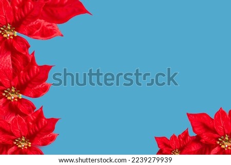 Similar – rote Blumen an gelber Wand, portugalisch