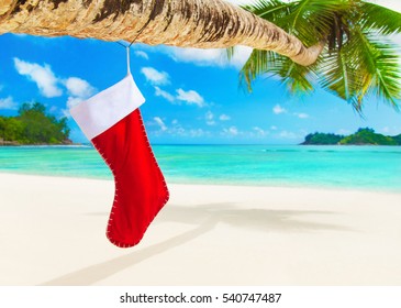 Red Christmas Sock With Presents On Palm Tree At Exotic Ocean Beach. Happy New Year And Marry X-mas Greeting Card For Winter Travel Destinations For Tropical Vacations Concept.
