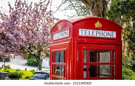 Red Classic Phone Booth And The Cherry Blossom, UK