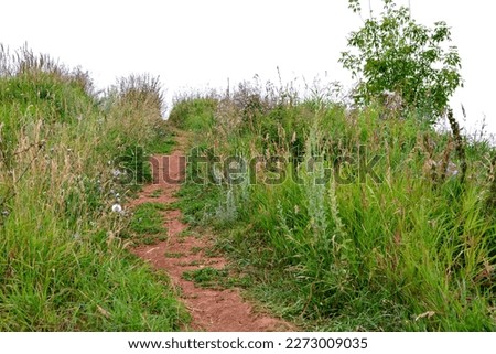 A red clay path through the grass to the horizon isolated, close-up